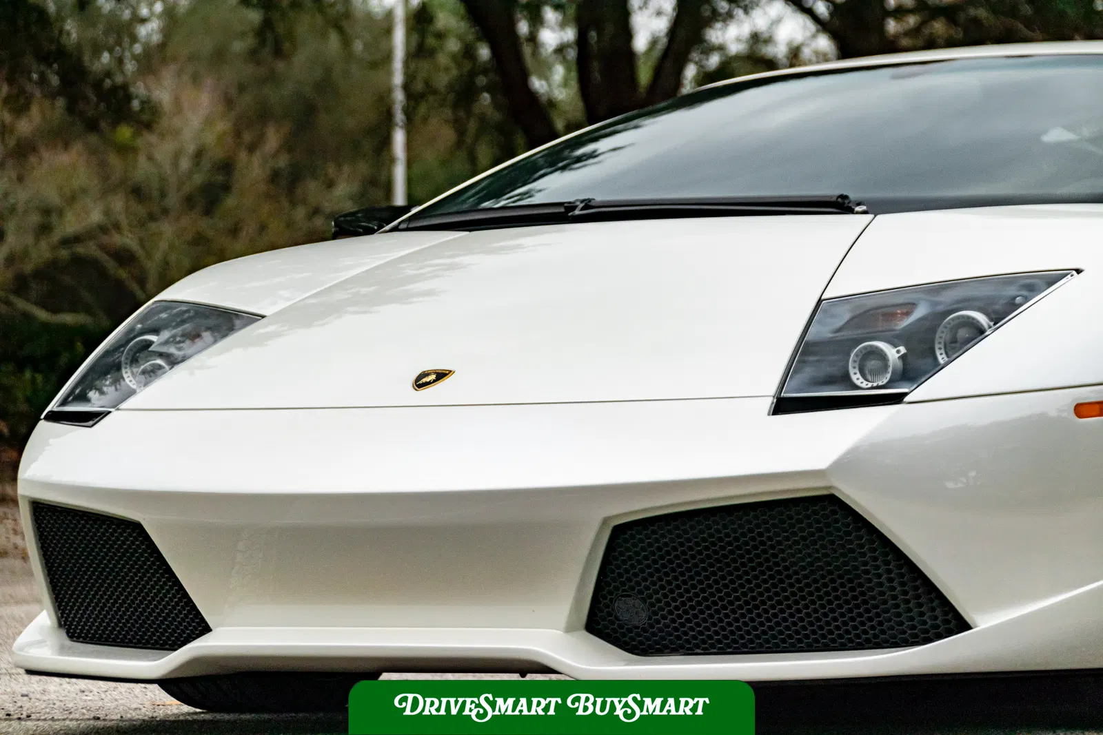 2008 Lamborghini Murcielago LP640