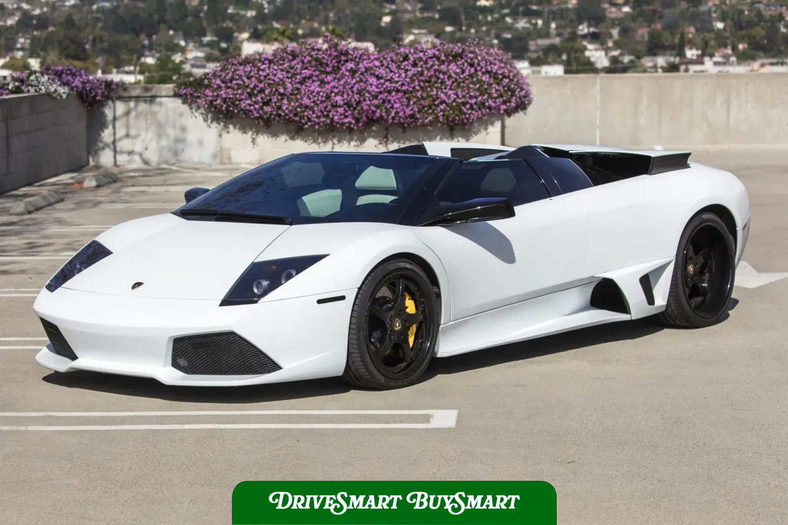 2008 Lamborghini Murcielago LP640 Roadster