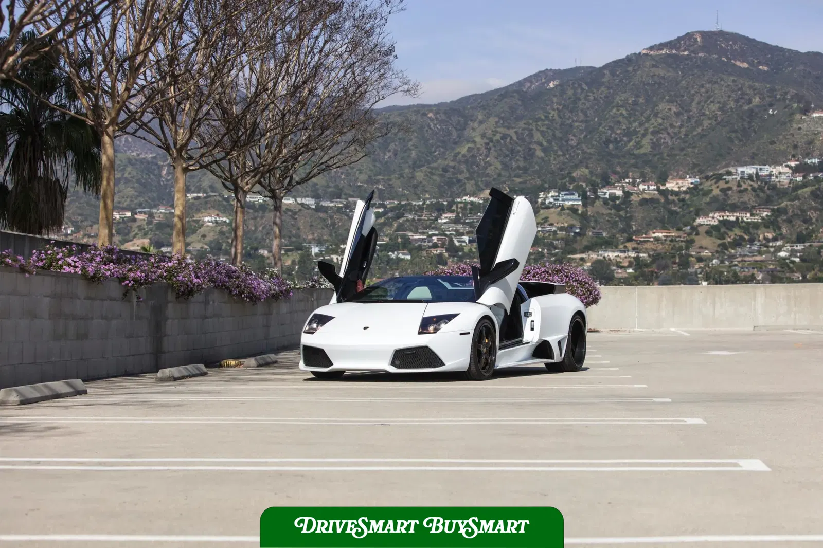 2008 Lamborghini Murcielago LP640 Roadster