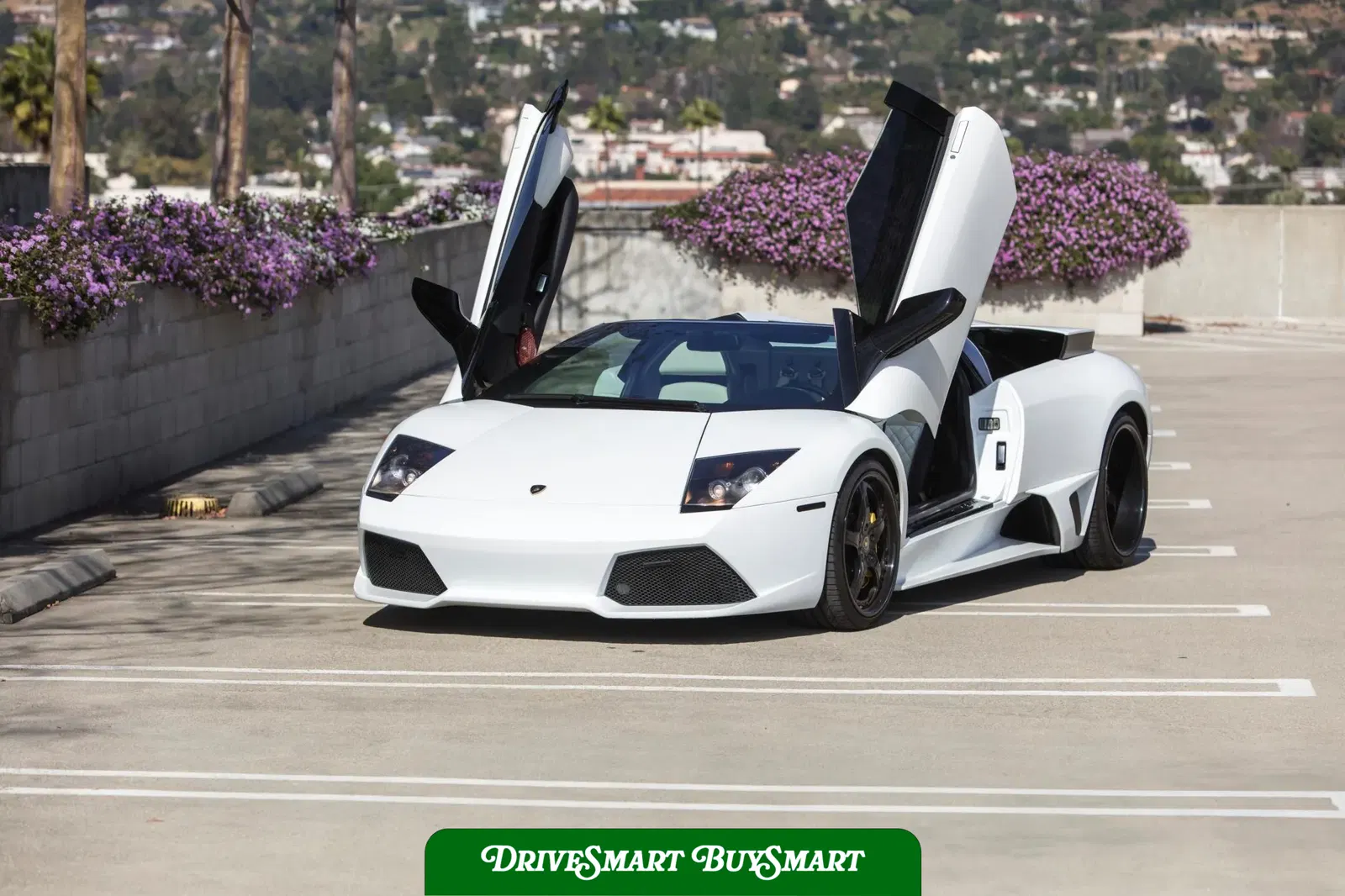 2008 Lamborghini Murcielago LP640 Roadster