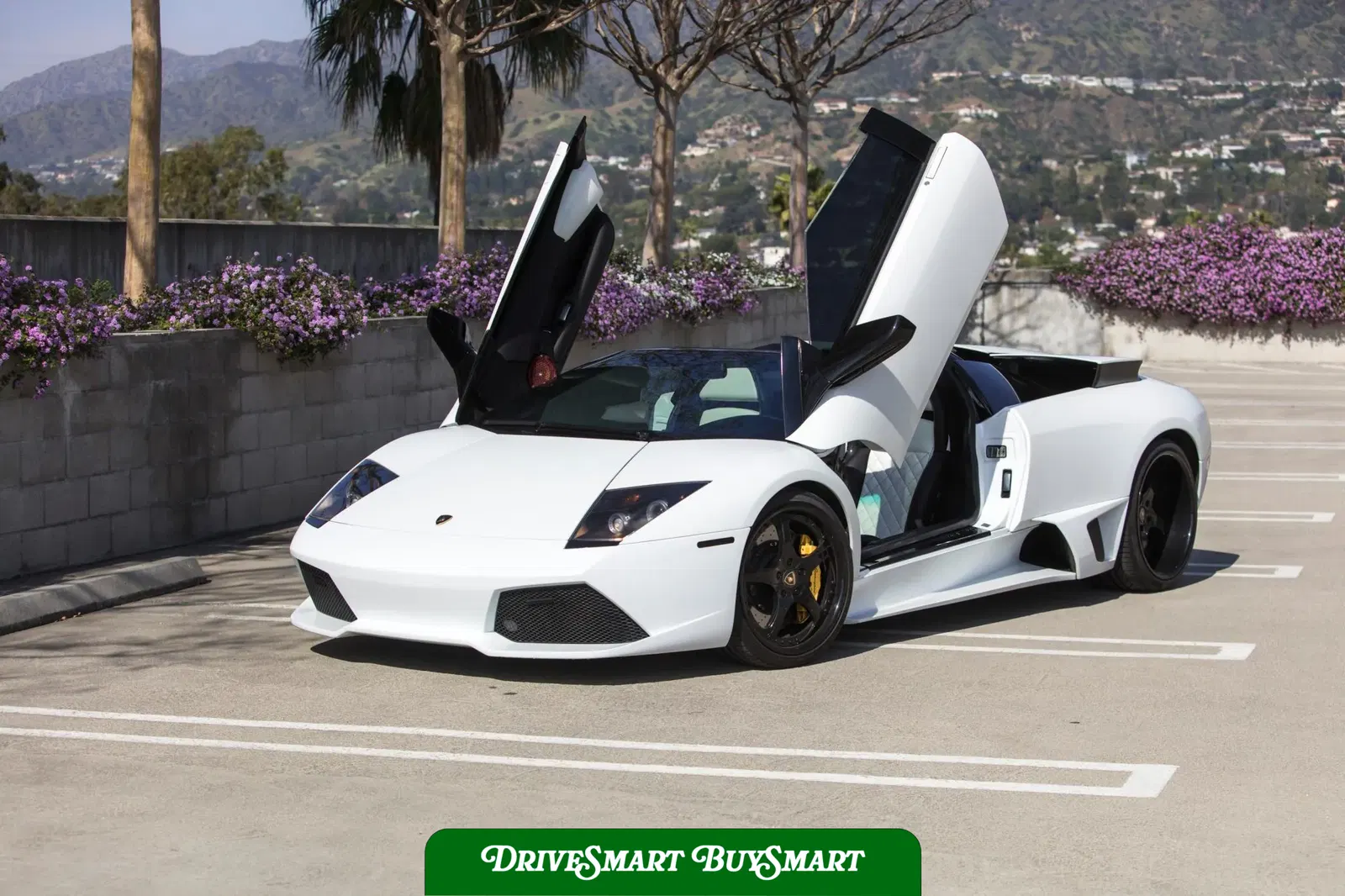 2008 Lamborghini Murcielago LP640 Roadster