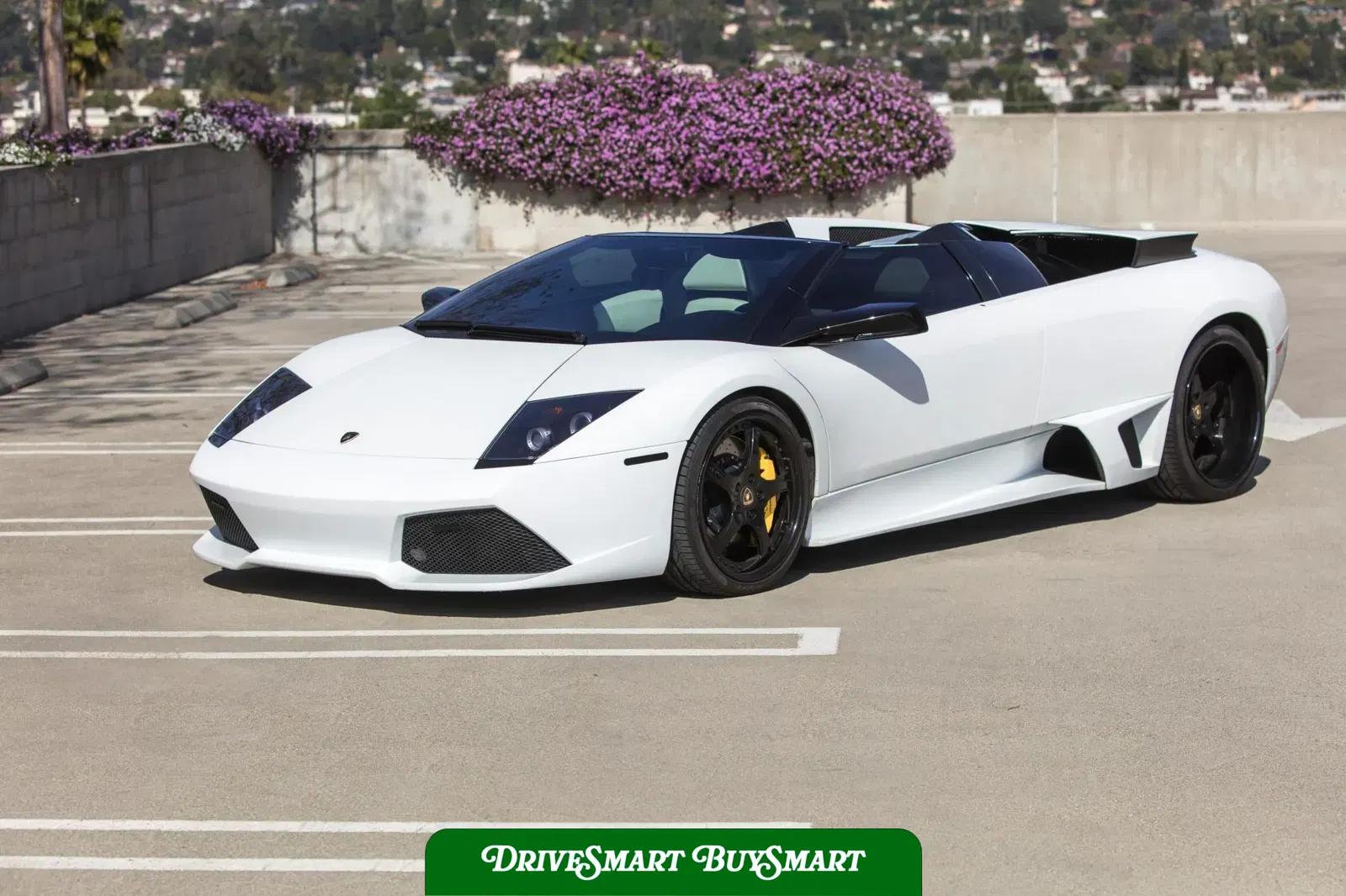 2008 Lamborghini Murcielago LP640 Roadster