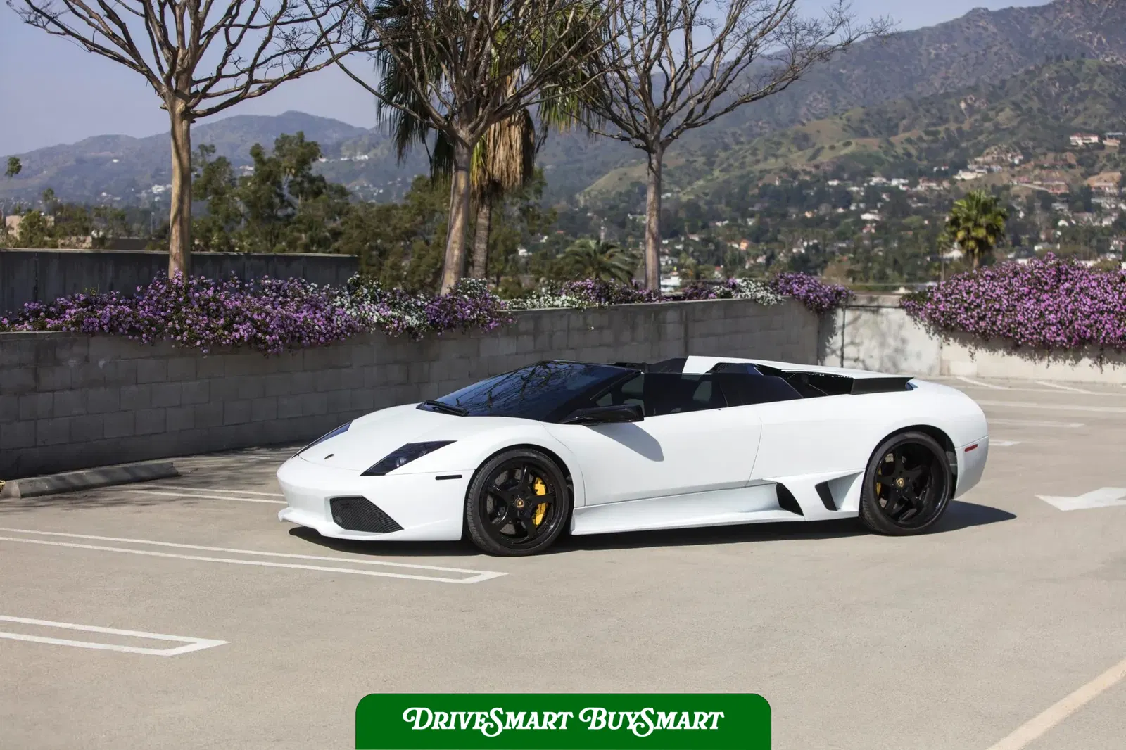 2008 Lamborghini Murcielago LP640 Roadster