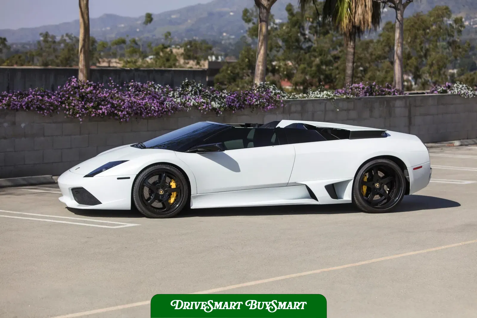 2008 Lamborghini Murcielago LP640 Roadster