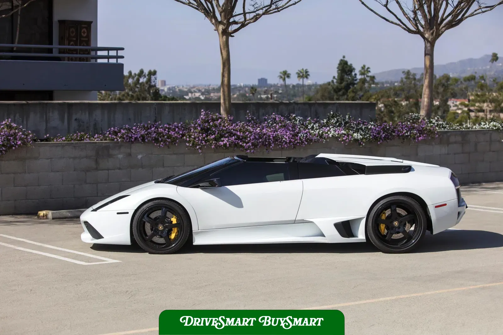 2008 Lamborghini Murcielago LP640 Roadster