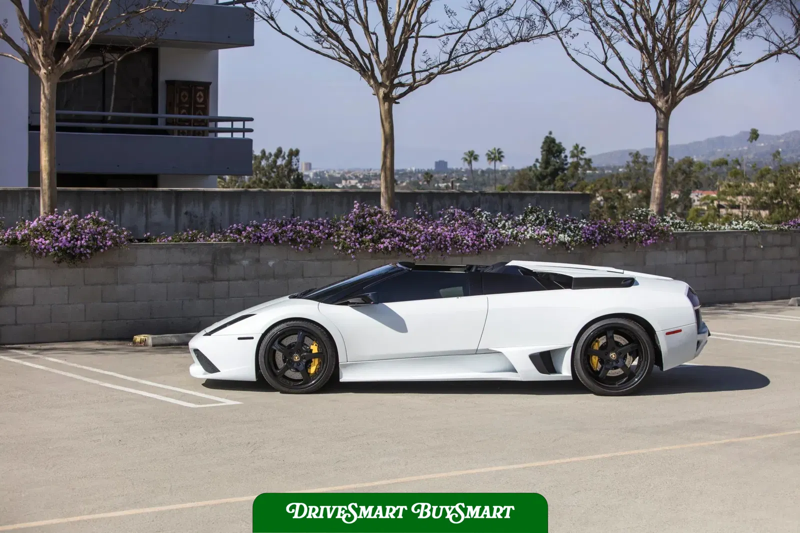 2008 Lamborghini Murcielago LP640 Roadster