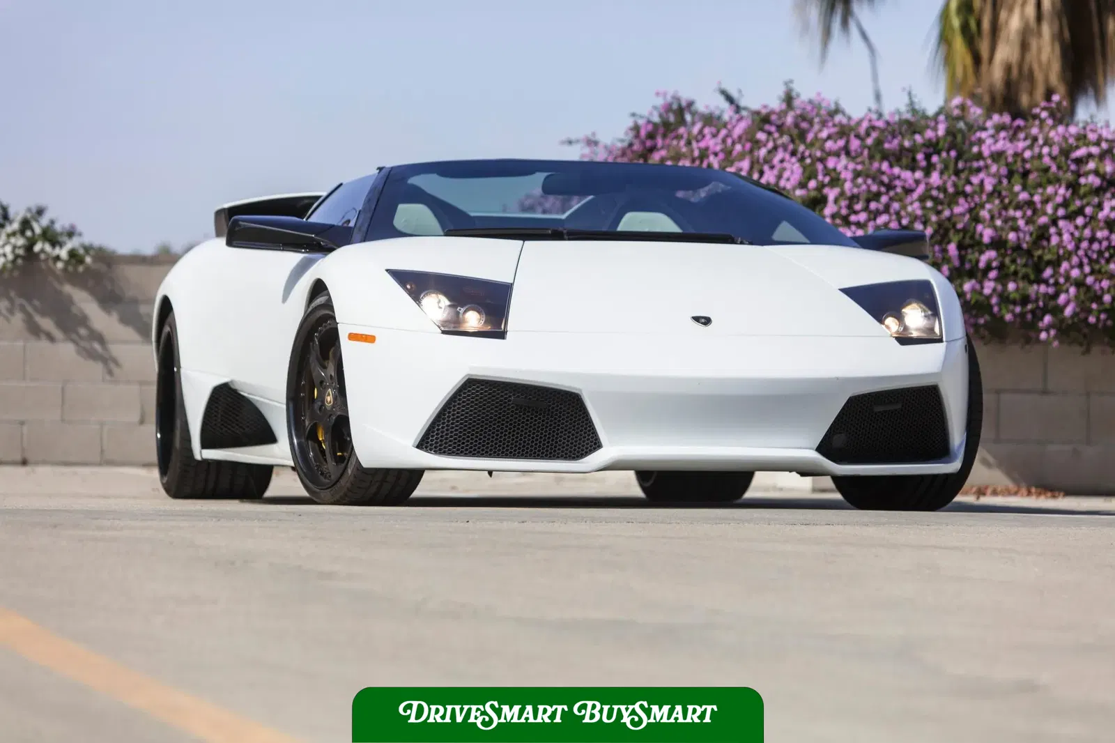 2008 Lamborghini Murcielago LP640 Roadster