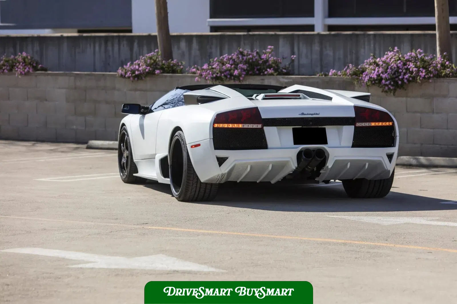 2008 Lamborghini Murcielago LP640 Roadster