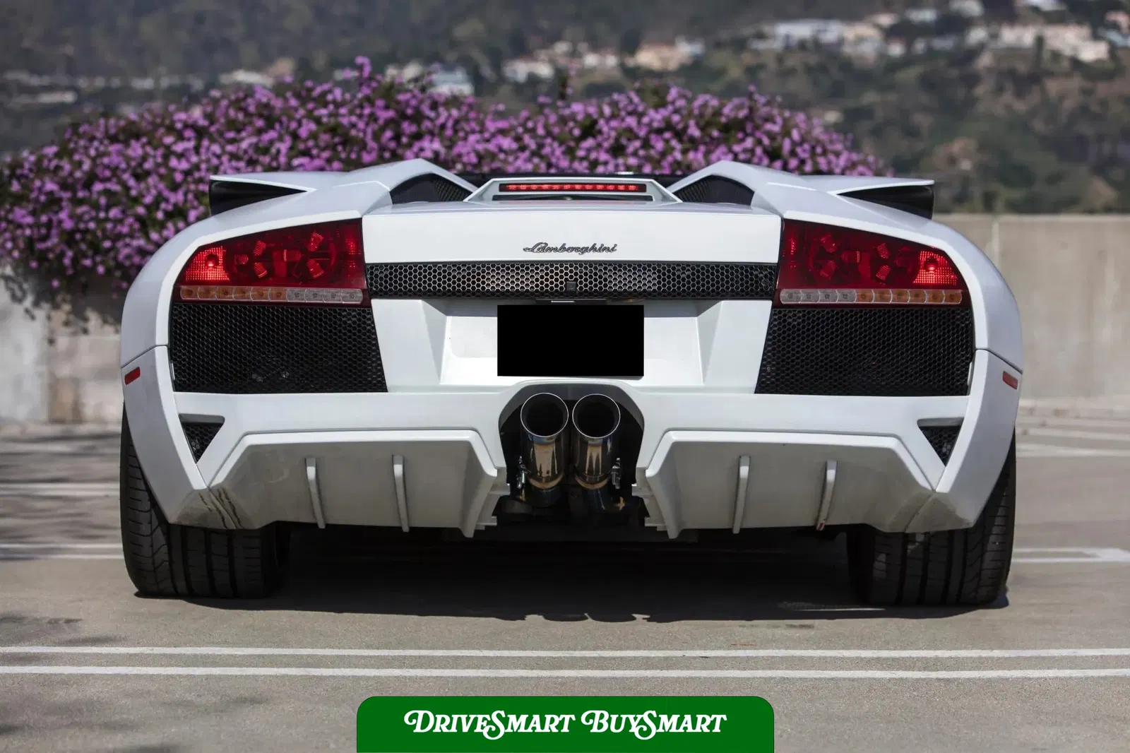 2008 Lamborghini Murcielago LP640 Roadster