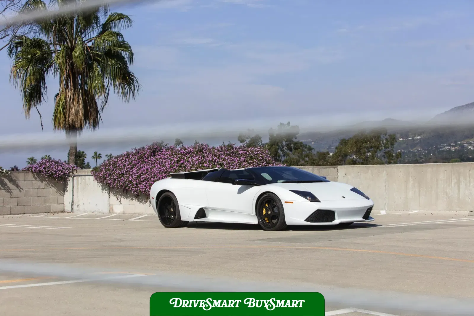 2008 Lamborghini Murcielago LP640 Roadster