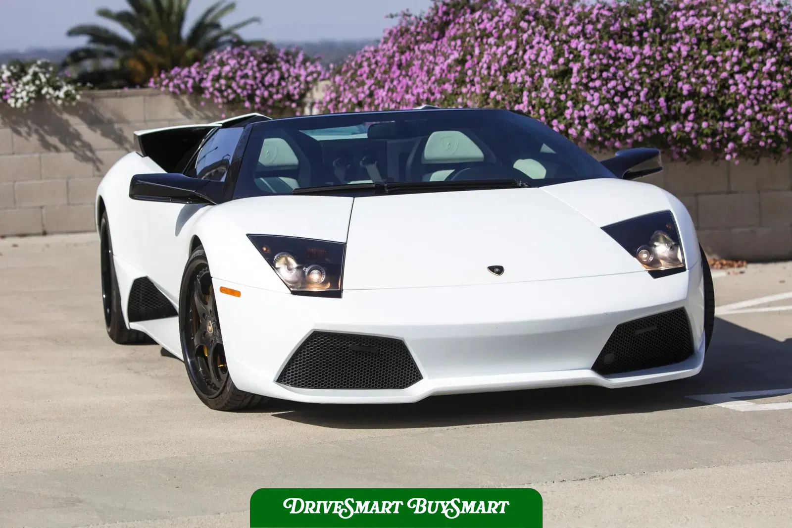 2008 Lamborghini Murcielago LP640 Roadster