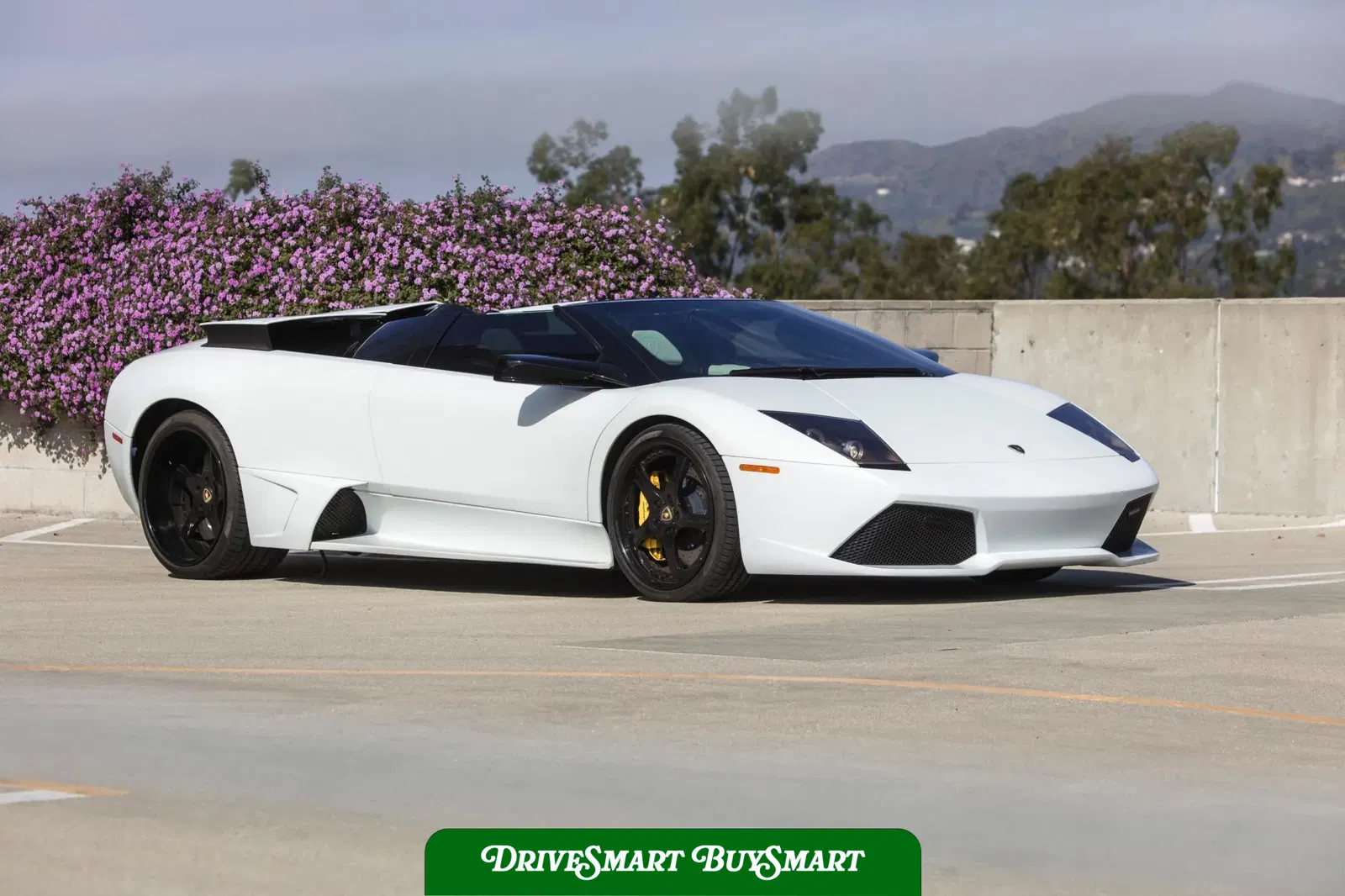 2008 Lamborghini Murcielago LP640 Roadster