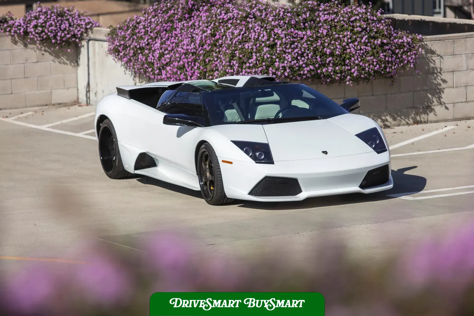 2008 Lamborghini Murcielago LP640 Roadster