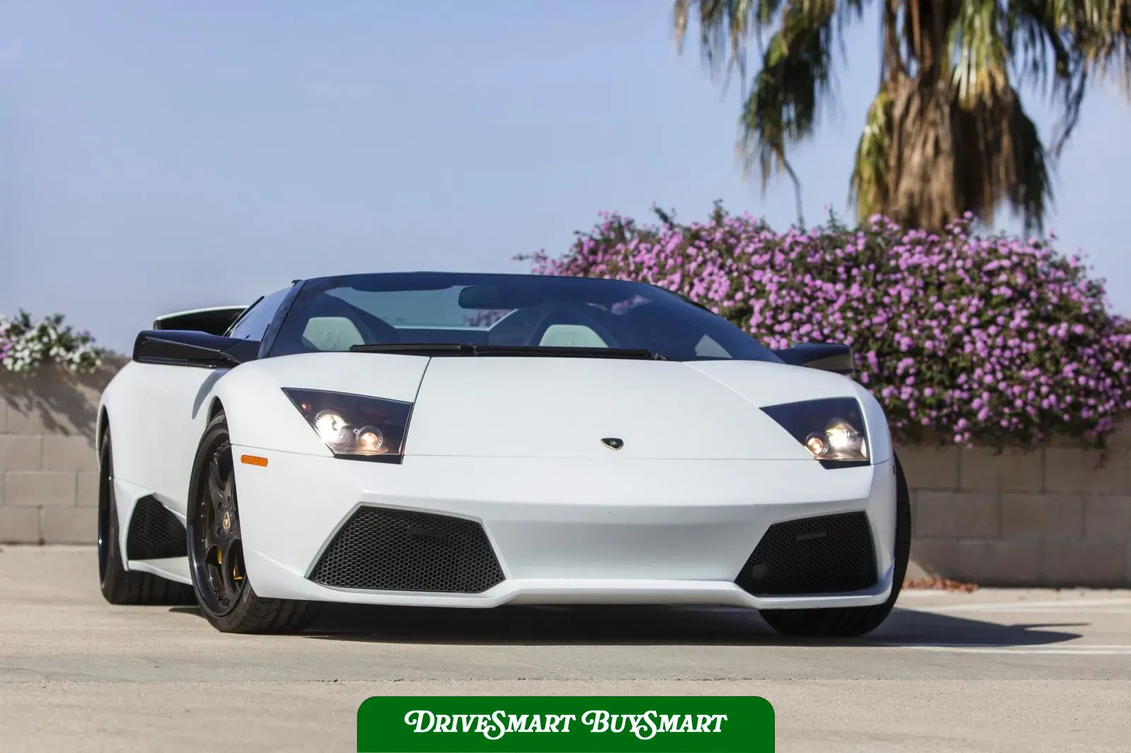 2008 Lamborghini Murcielago LP640 Roadster