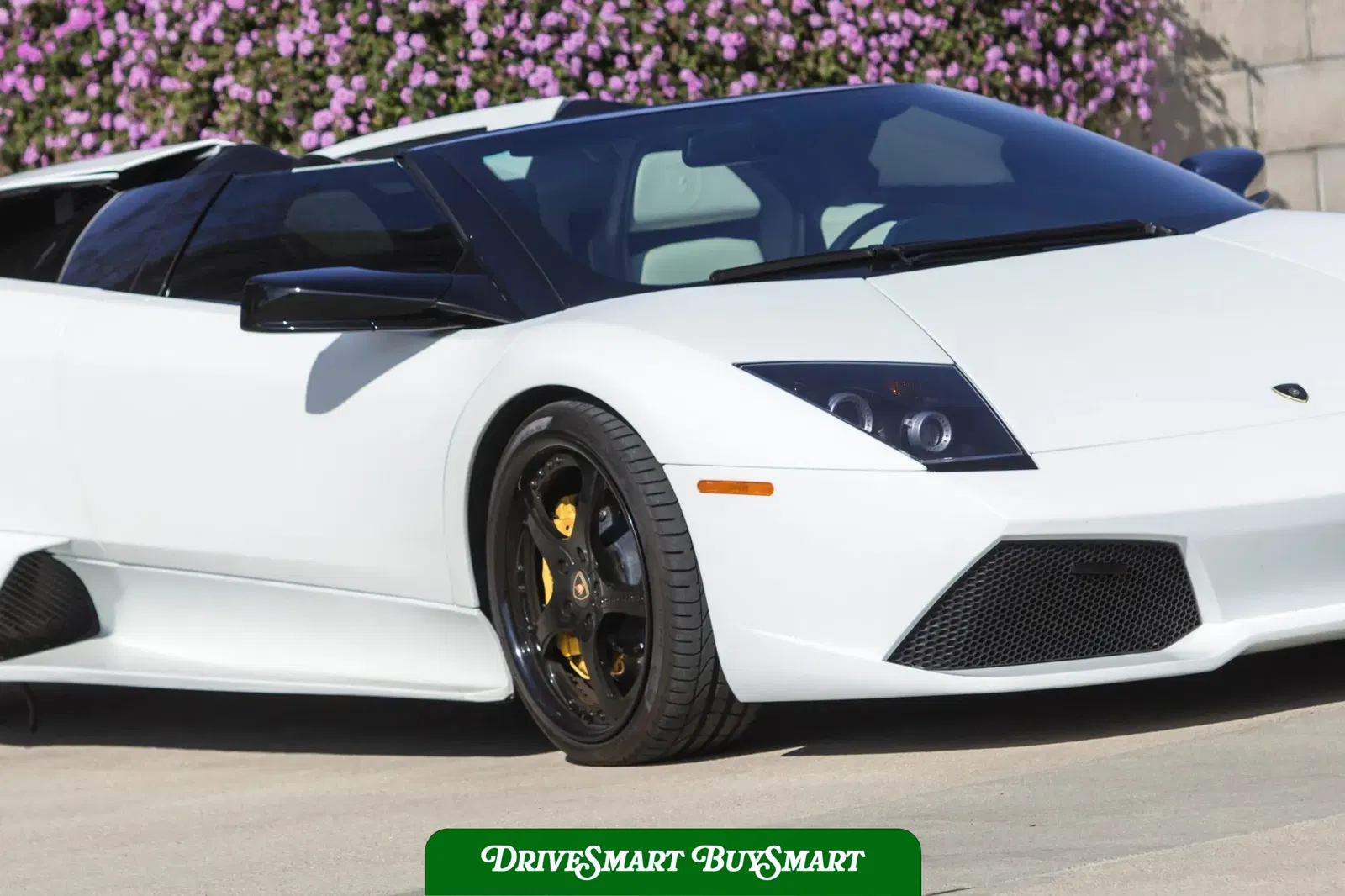 2008 Lamborghini Murcielago LP640 Roadster