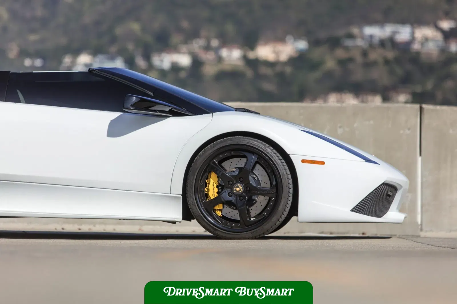 2008 Lamborghini Murcielago LP640 Roadster