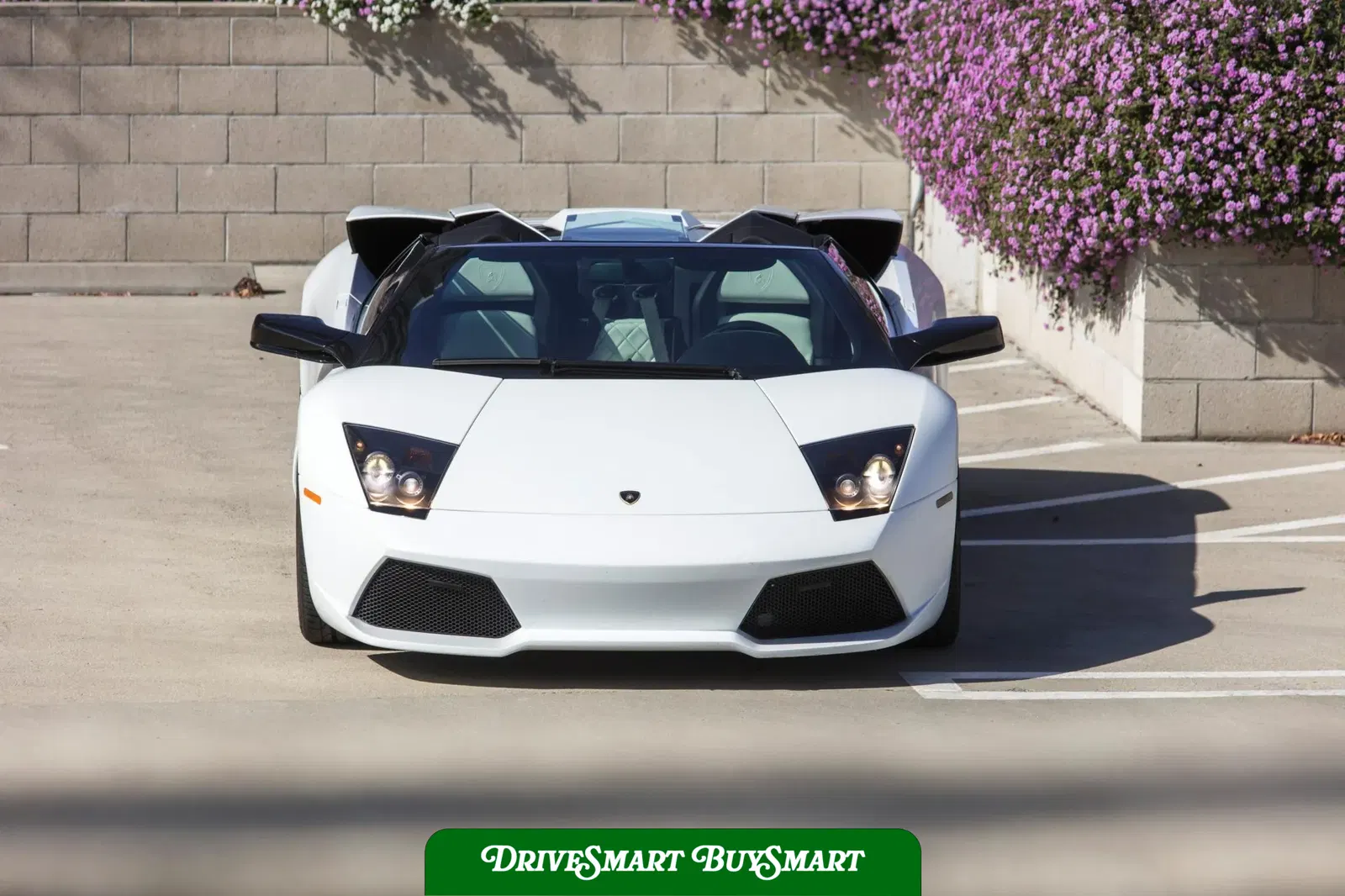 2008 Lamborghini Murcielago LP640 Roadster