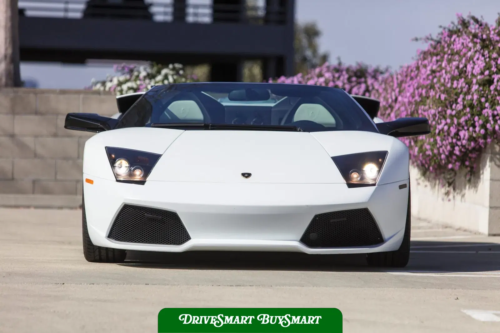 2008 Lamborghini Murcielago LP640 Roadster