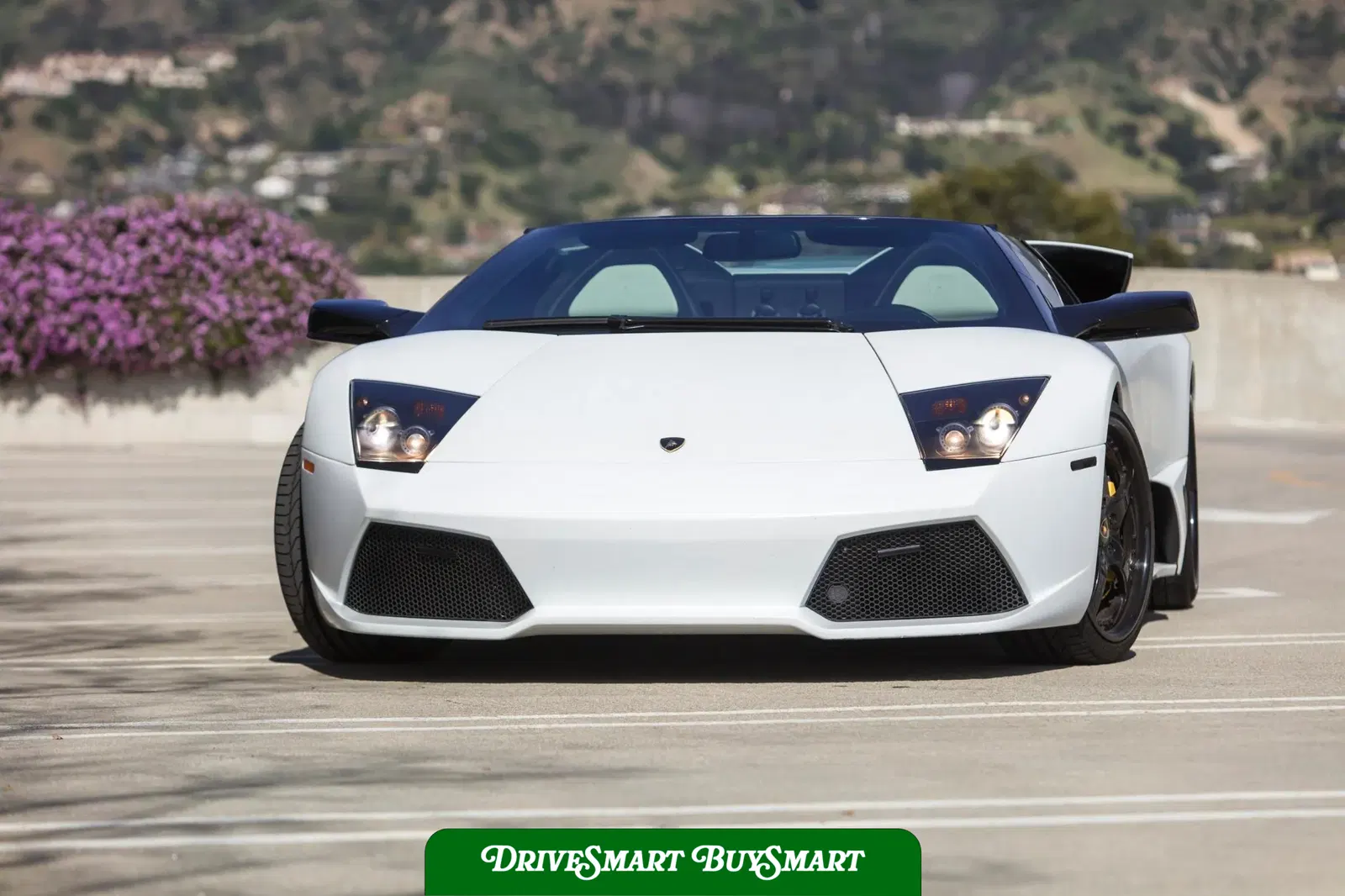 2008 Lamborghini Murcielago LP640 Roadster