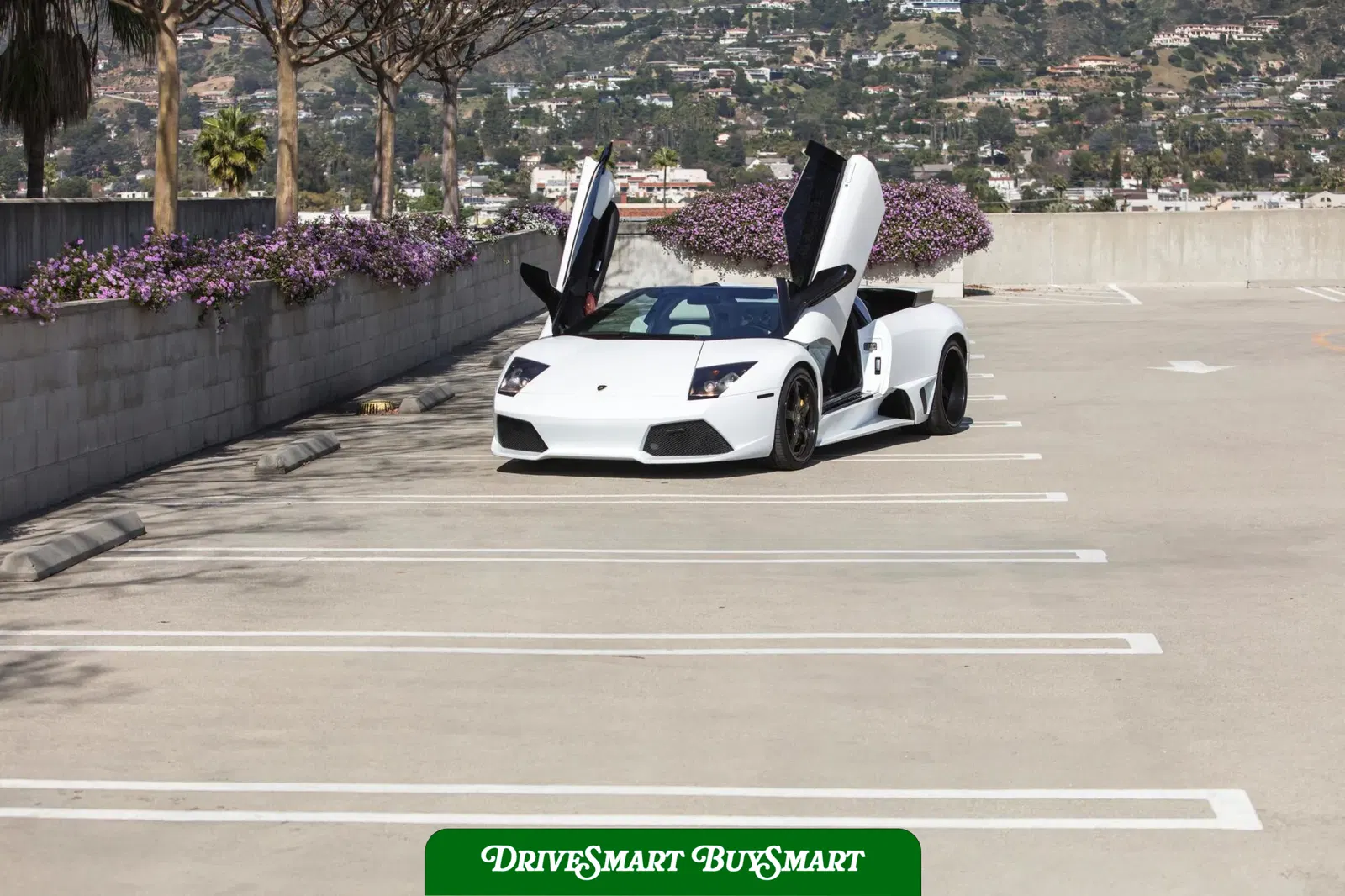 2008 Lamborghini Murcielago LP640 Roadster