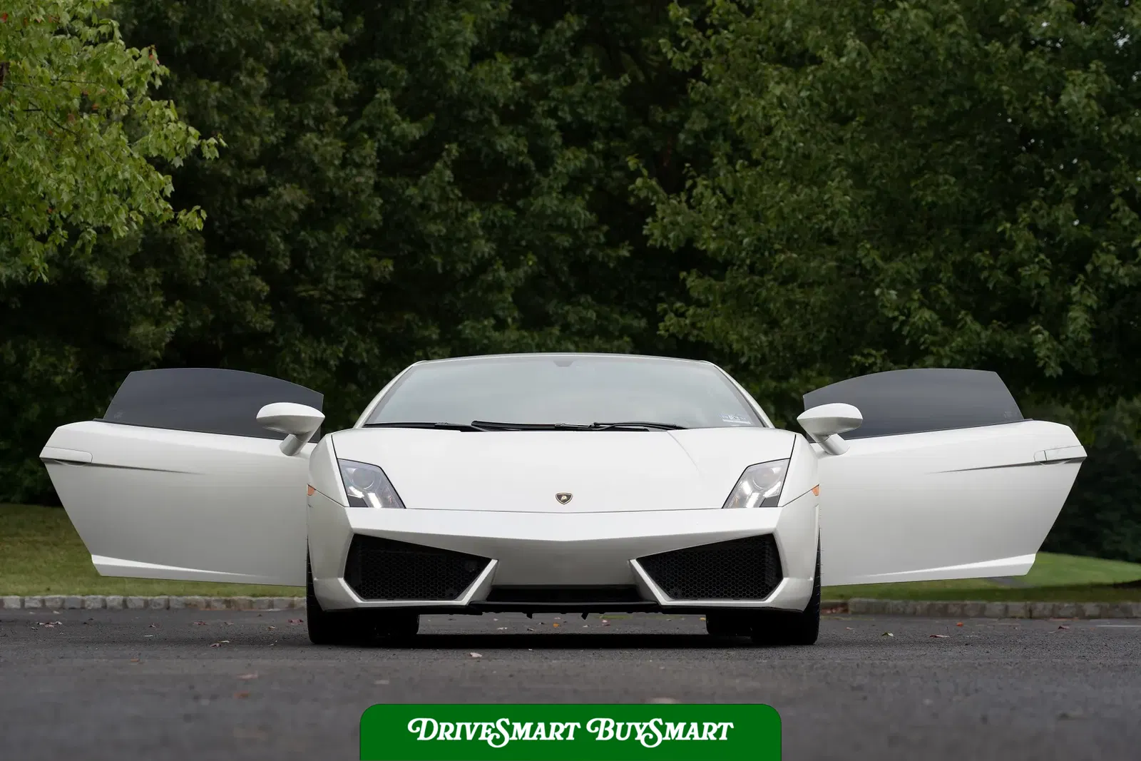2009 Lamborghini Gallardo LP560-4
