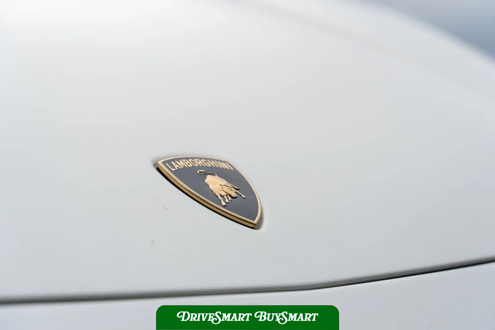 2009 Lamborghini Gallardo LP560-4