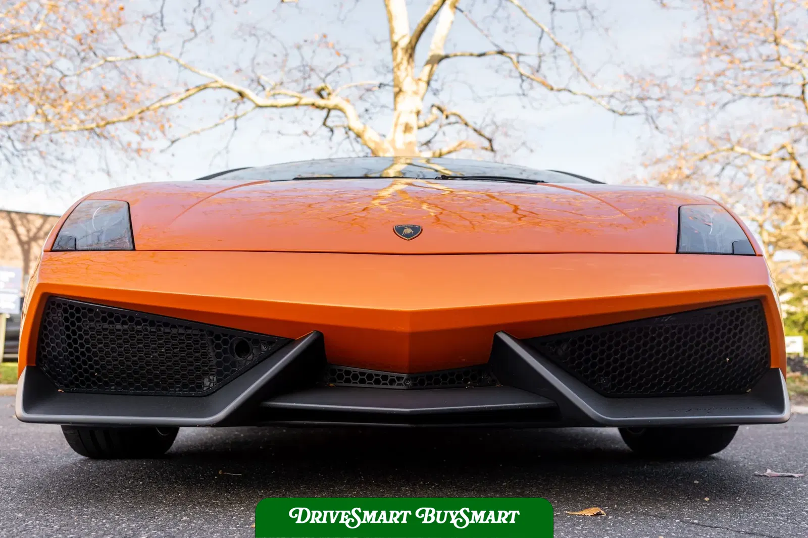 2011 Lamborghini Gallardo LP570-4 Spyder Performante