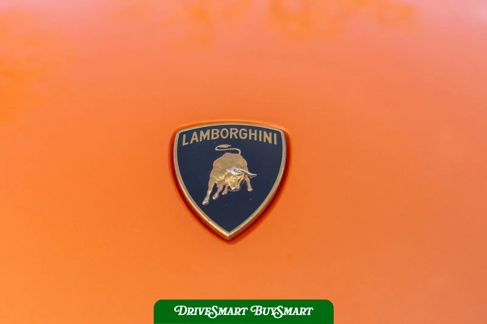 2011 Lamborghini Gallardo LP570-4 Spyder Performante