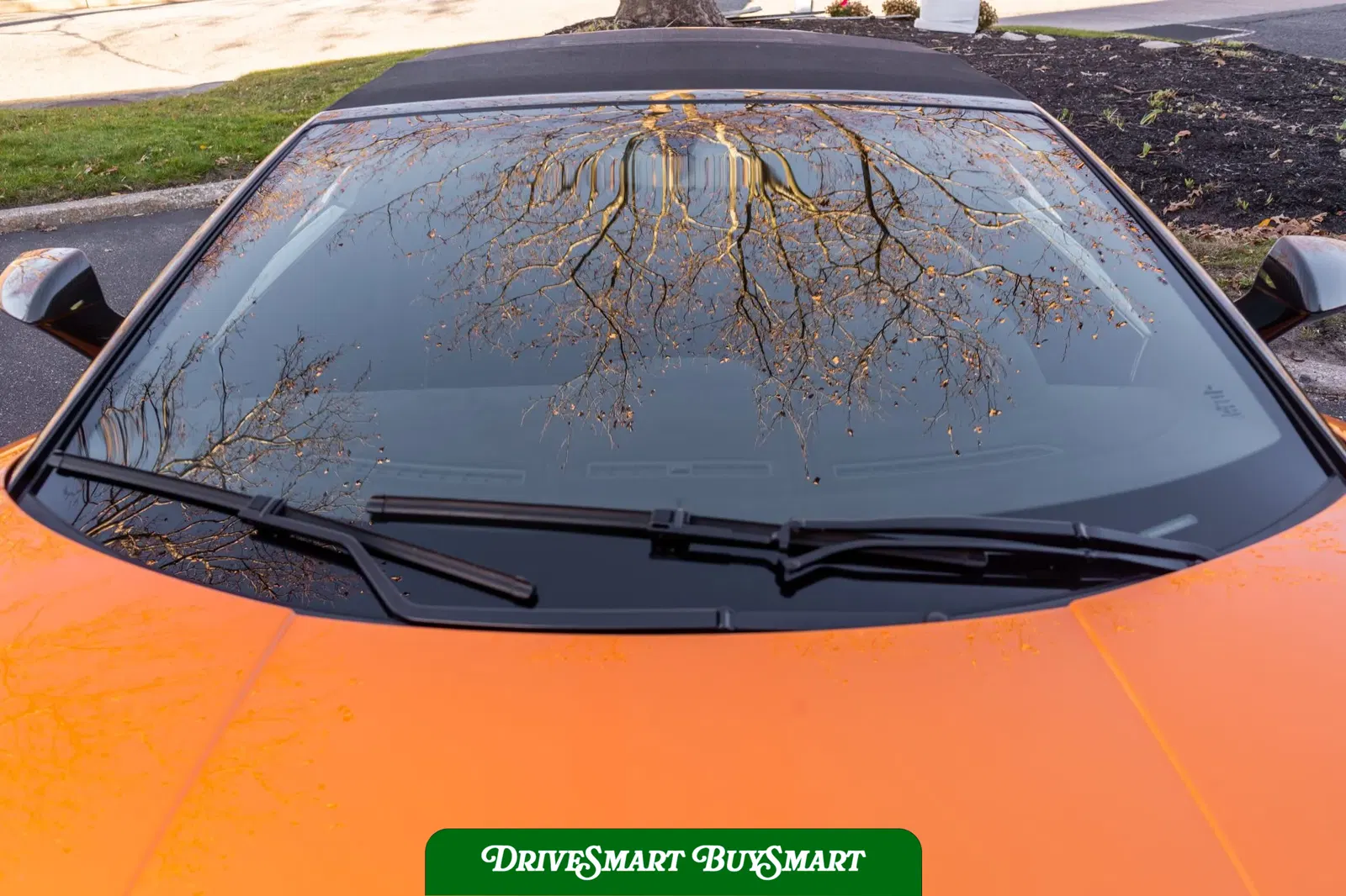 2011 Lamborghini Gallardo LP570-4 Spyder Performante