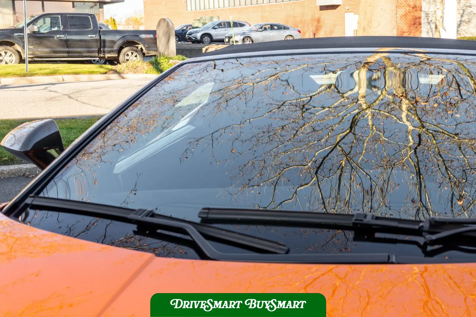 2011 Lamborghini Gallardo LP570-4 Spyder Performante