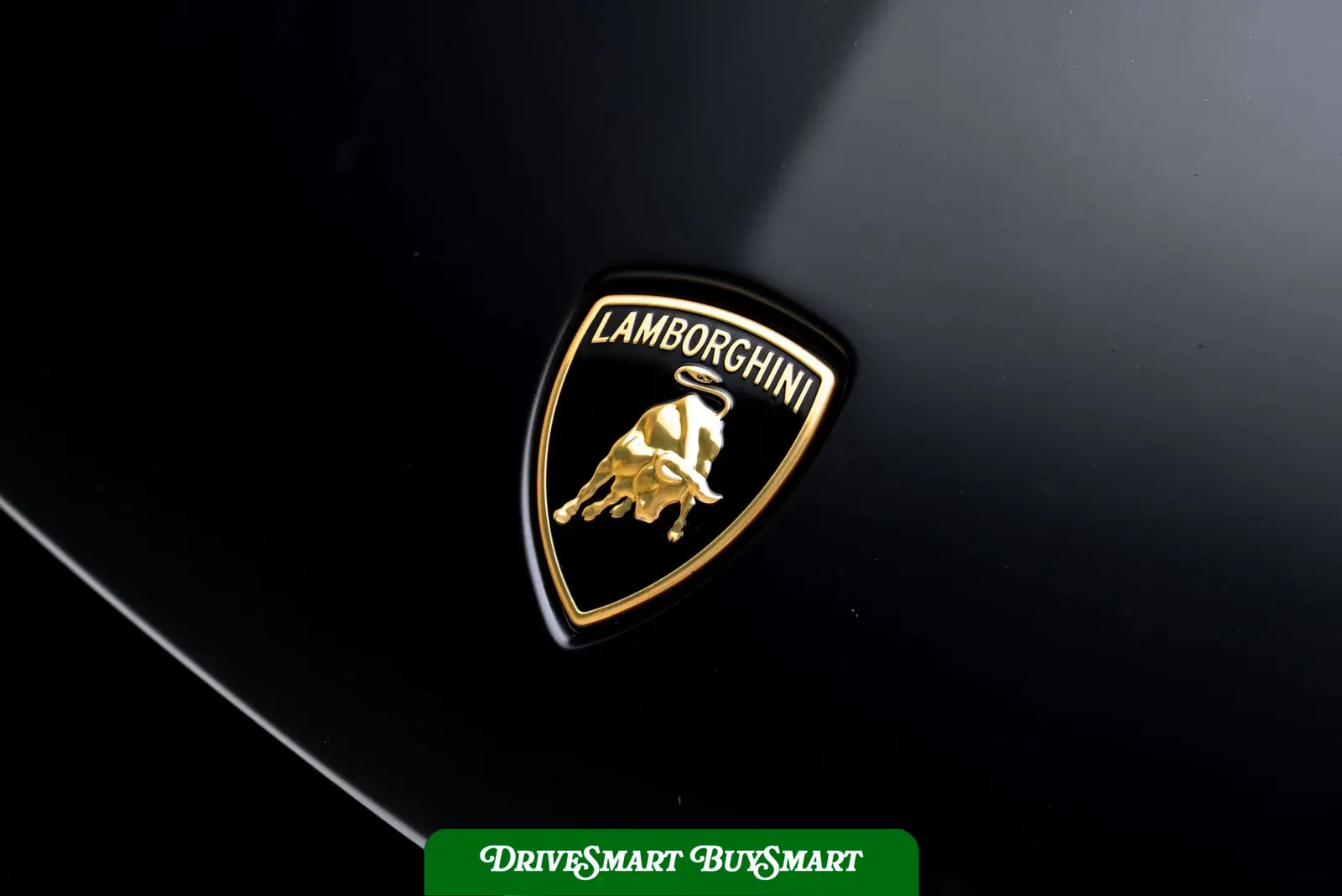 Mansory-Kitted 2024 Lamborghini Revuelto