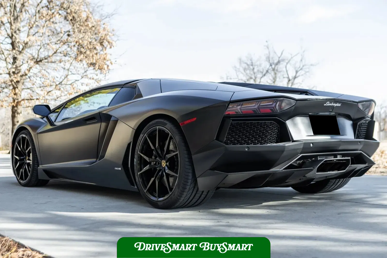 2014 Lamborghini Aventador LP 700-4 Roadster