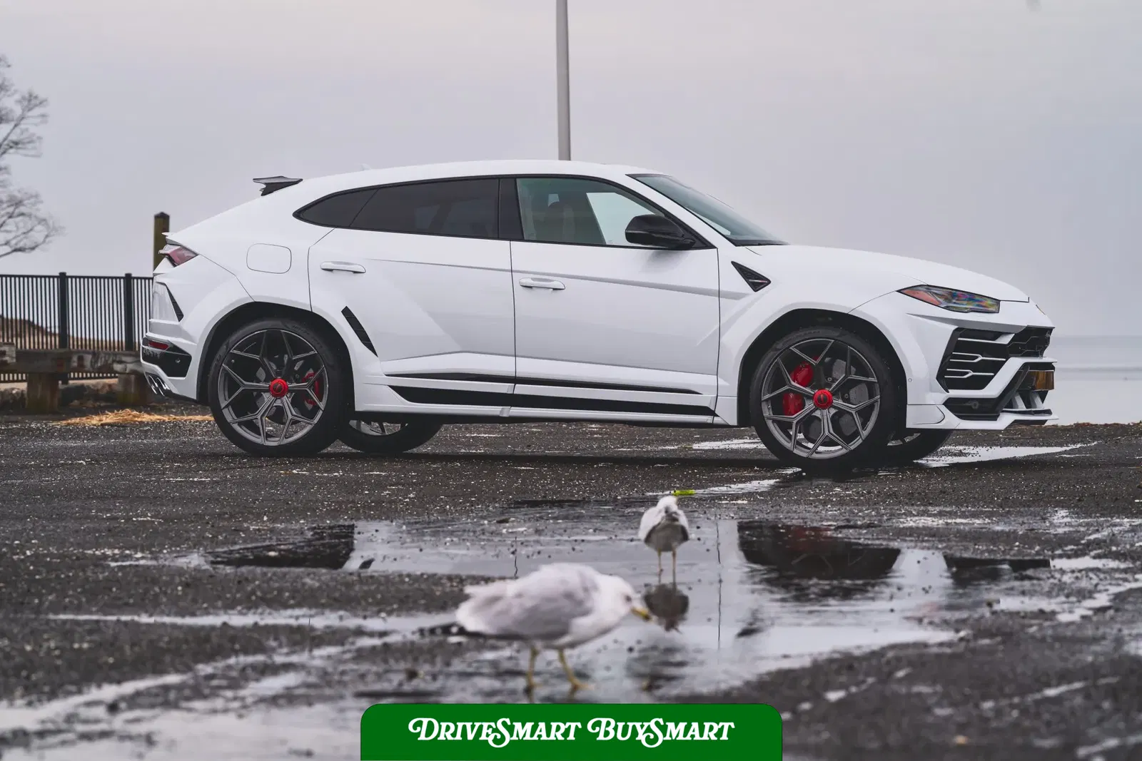 2019 Lamborghini Urus
